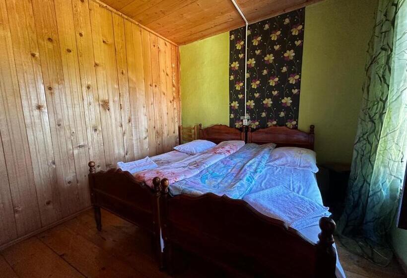 اتاق استاندارد با سرویس بهداشتی مشترک, Guesthouse Angelina