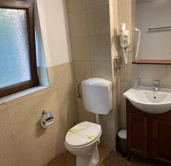 Номер Стандарт, Pensiunea Casa Rica