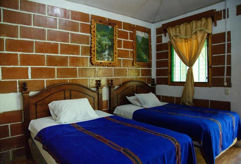 اتاق استاندارد, Viñas