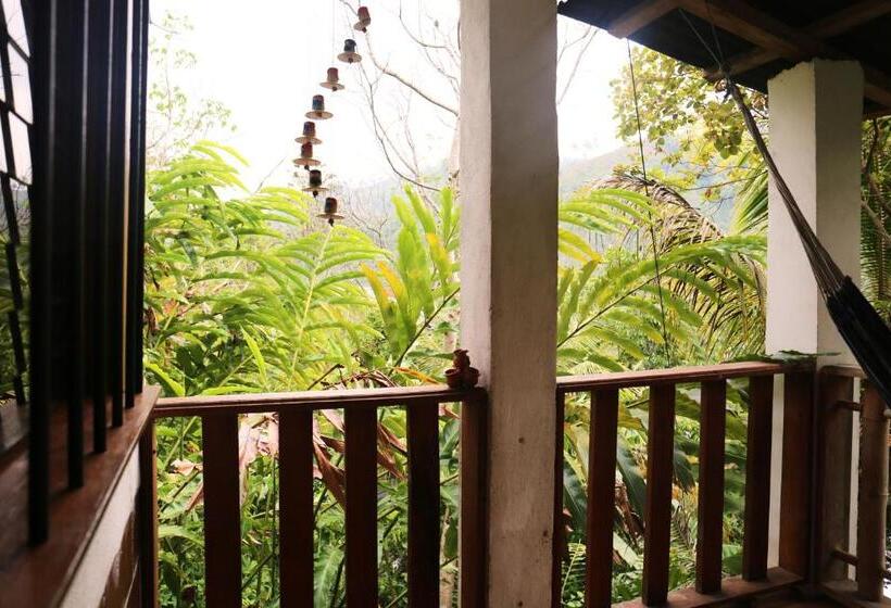 اتاق استاندارد, Viñas