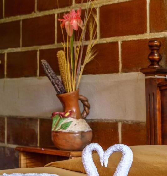 اتاق استاندارد, Viñas