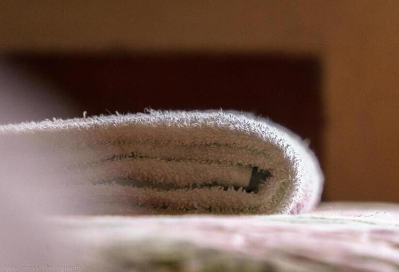 اتاق استاندارد, Viñas