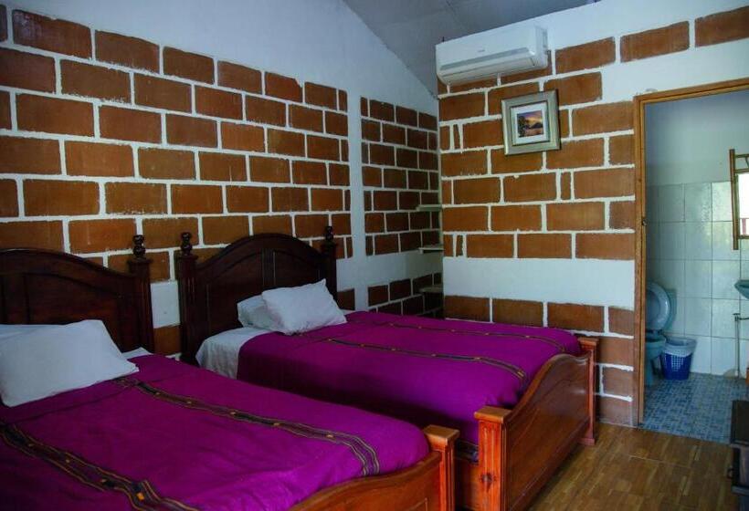 اتاق استاندارد, Viñas