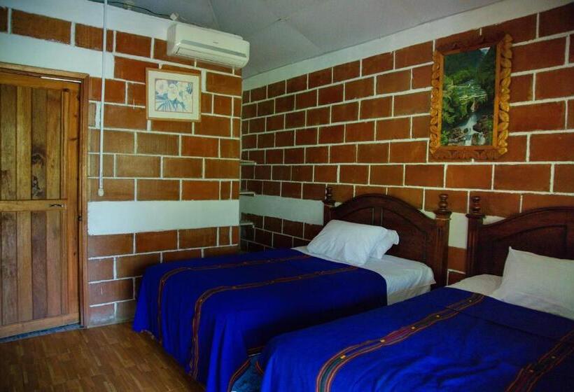 اتاق استاندارد, Viñas