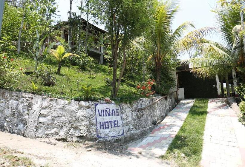 اتاق اکونومی, Viñas