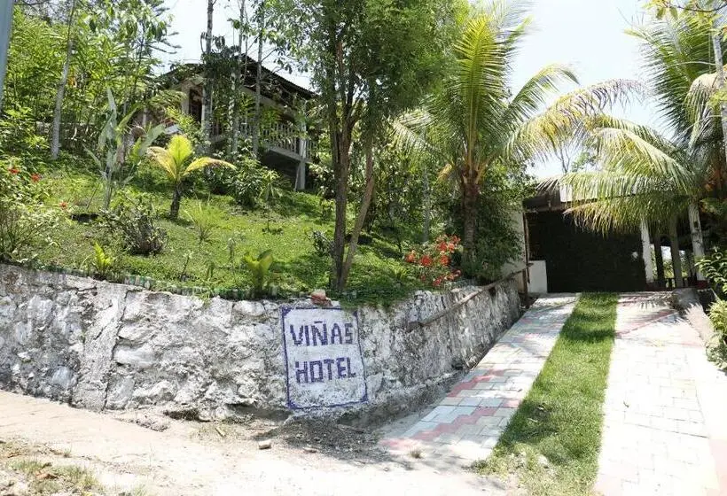 اتاق اکونومی, Viñas