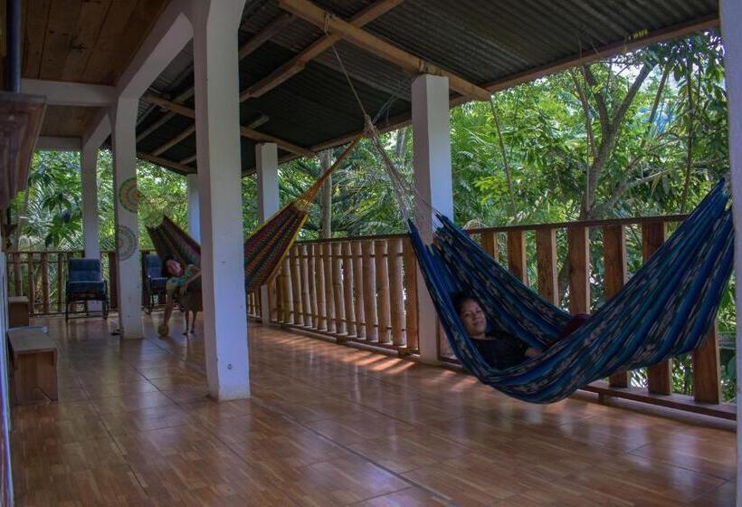 اتاق اکونومی, Viñas