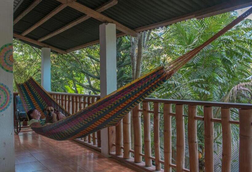 اتاق اکونومی, Viñas