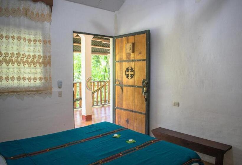 اتاق اکونومی, Viñas