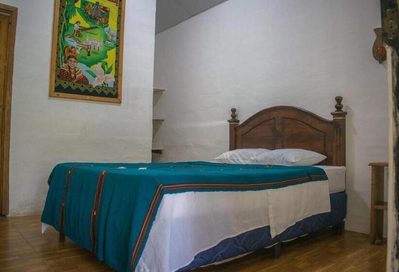 اتاق اکونومی, Viñas