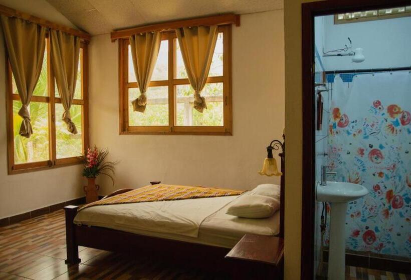 اتاق لوکس, Viñas