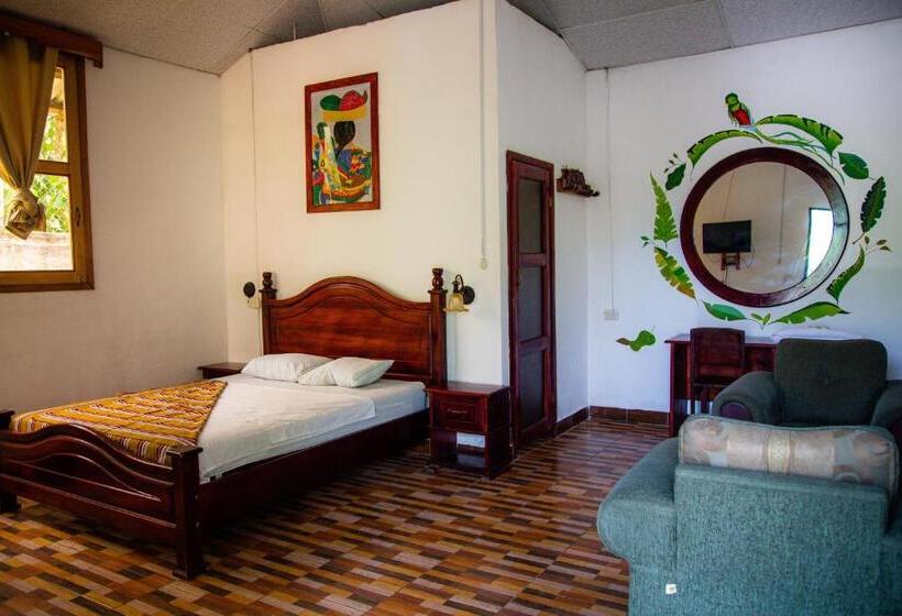 اتاق لوکس, Viñas