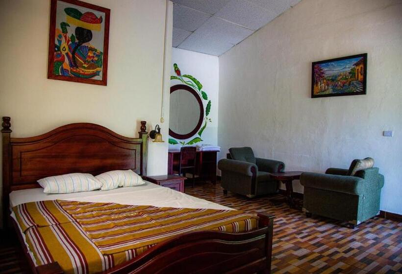 اتاق لوکس, Viñas