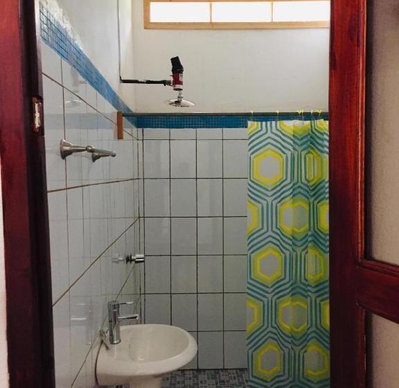 اتاق لوکس, Viñas