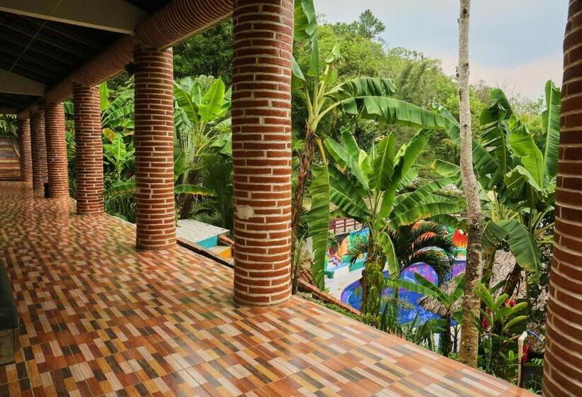 اتاق لوکس, Viñas