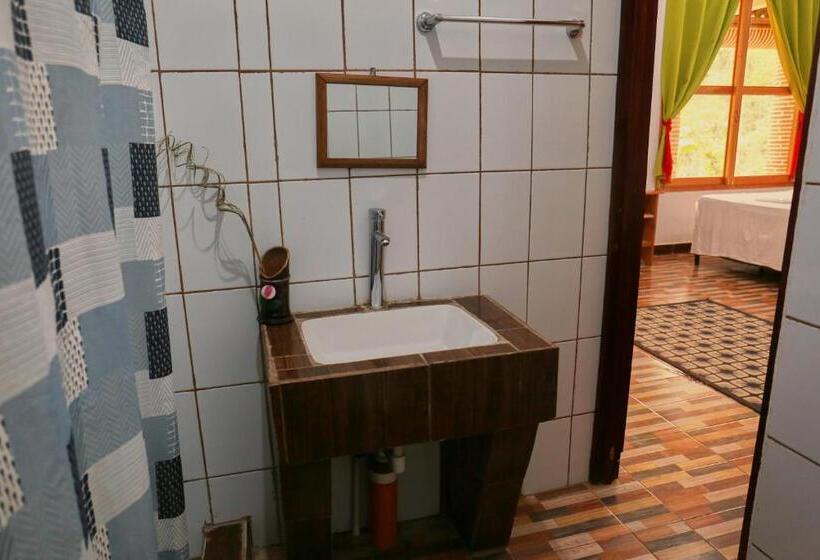 اتاق خانوادگی, Viñas