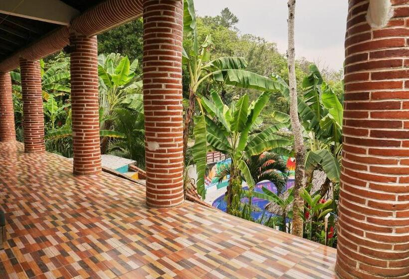 اتاق خانوادگی, Viñas