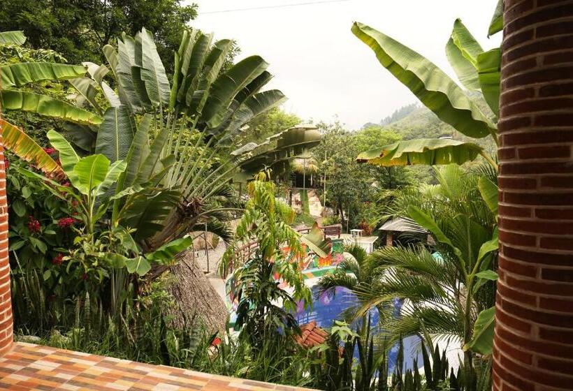 اتاق خانوادگی, Viñas