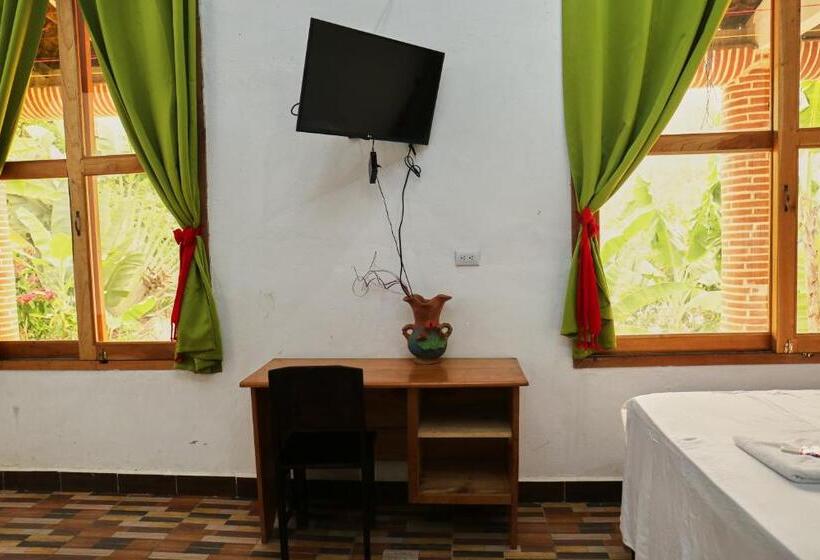 اتاق خانوادگی, Viñas