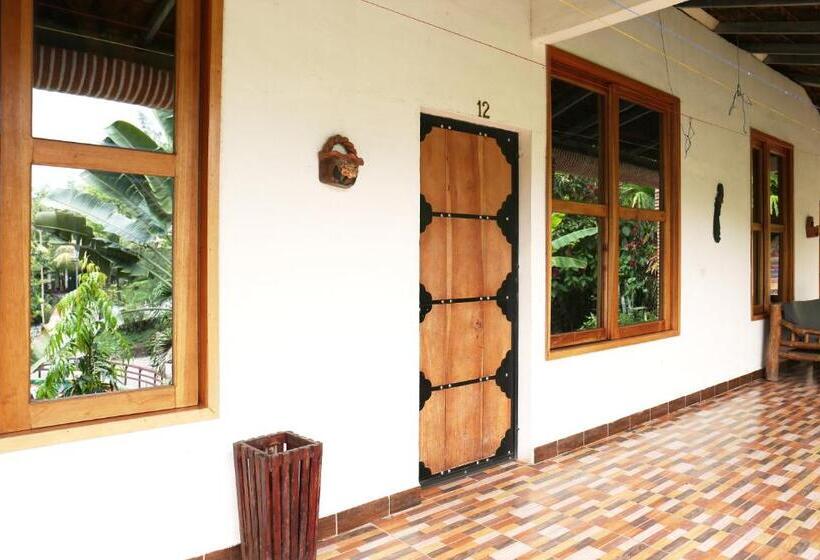 اتاق خانوادگی, Viñas