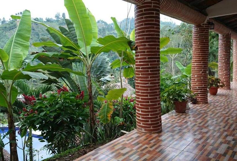 اتاق خانوادگی, Viñas