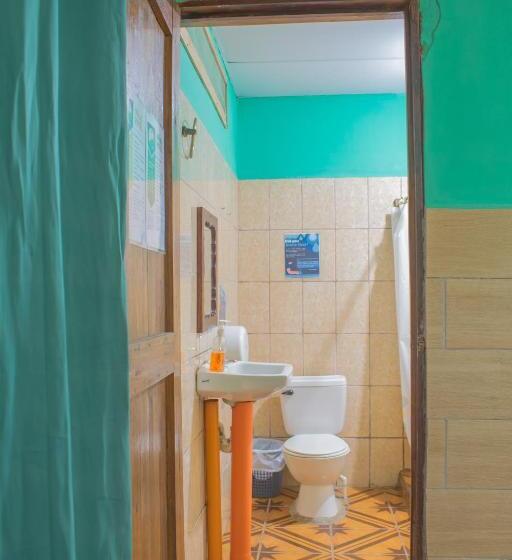 اتاق عادی, Viñas