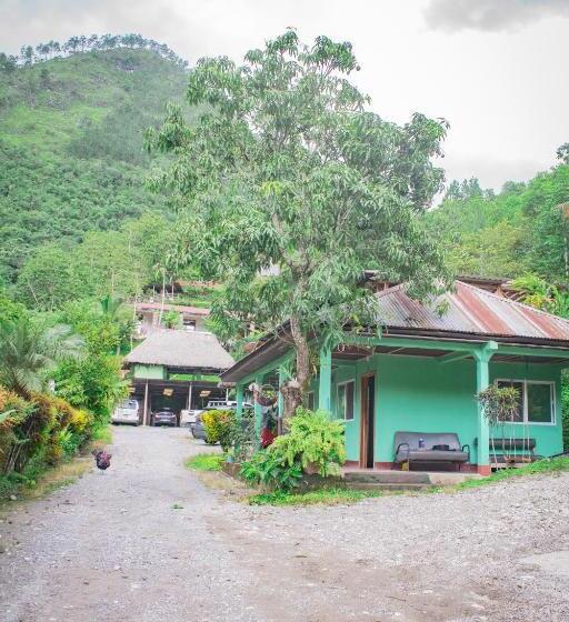 اتاق عادی, Viñas