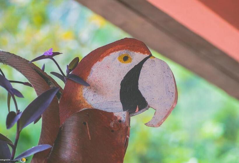 اتاق عادی, Viñas