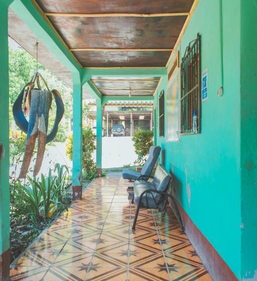 اتاق عادی, Viñas