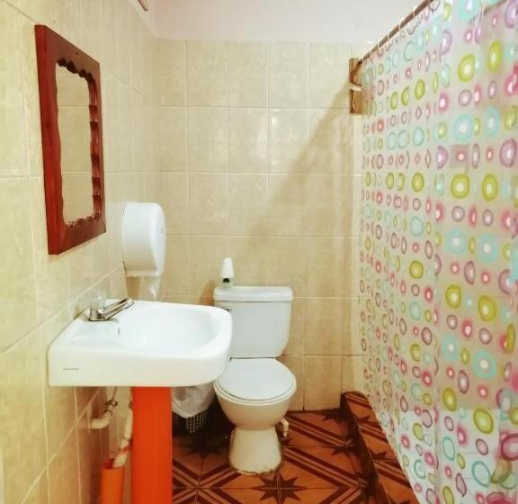 اتاق عادی, Viñas