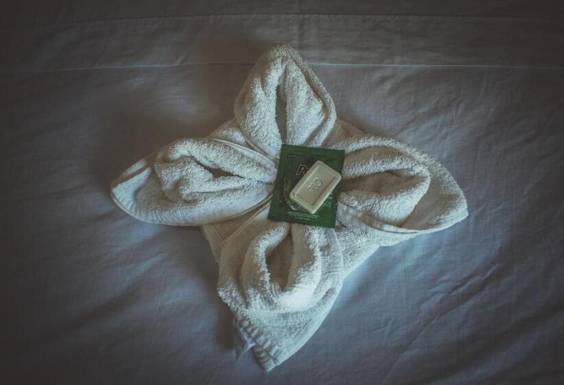 اتاق عادی, Viñas