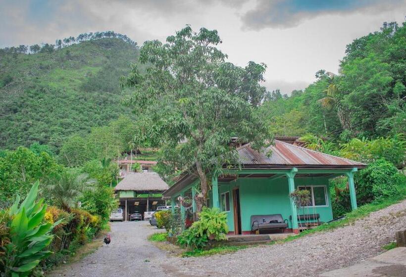 اتاق عادی, Viñas