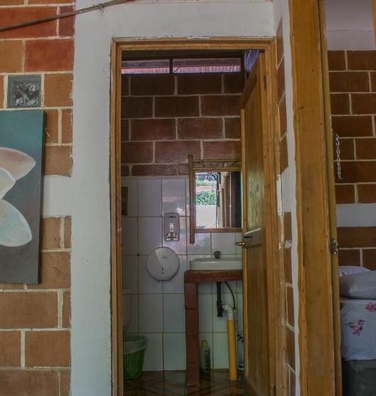 اتاق استاندارد با سرویس بهداشتی مشترک, Viñas