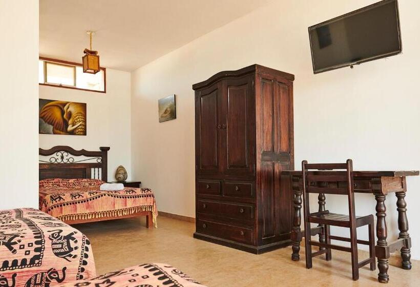 四人标准间, Buena Vista Lobitos