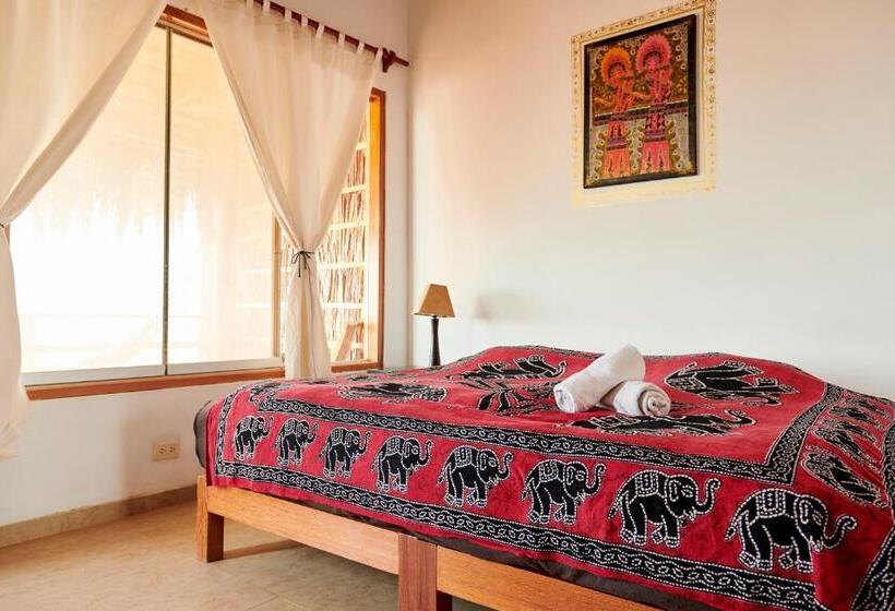 家庭间, Buena Vista Lobitos