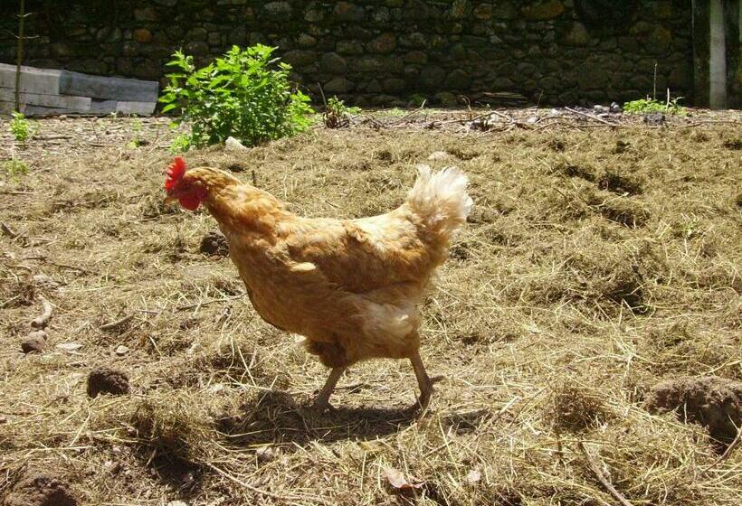 4인용 스탠다드 룸, Ferme Laurens