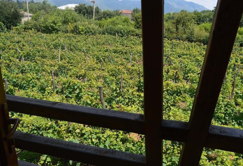 اتاق خانوادگی, Twins Wine Cellar