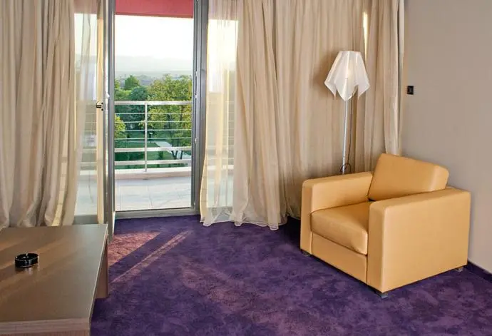 デラックスルーム, Park Hotel Romantica