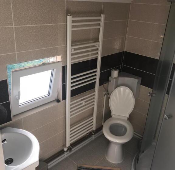 标准间, Floare De Maramures 1