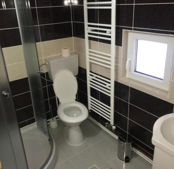 标准间, Floare De Maramures 1