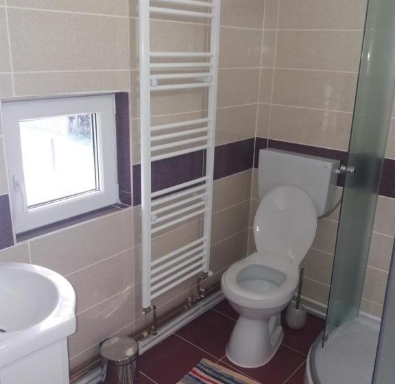 标准间, Floare De Maramures 1