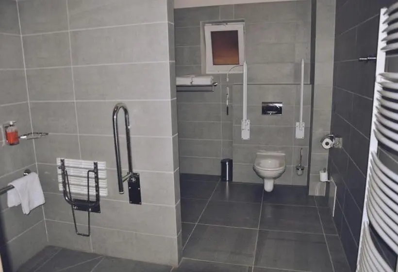 身障者適用スタンダードルーム, Wellness Hotel Bozeňov
