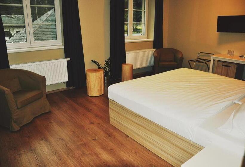 חדר סטנדרט מותאם לאדם עם מוגבלויות, Wellness Hotel Bozeňov