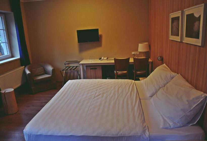 חדר סטנדרט מותאם לאדם עם מוגבלויות, Wellness Hotel Bozeňov