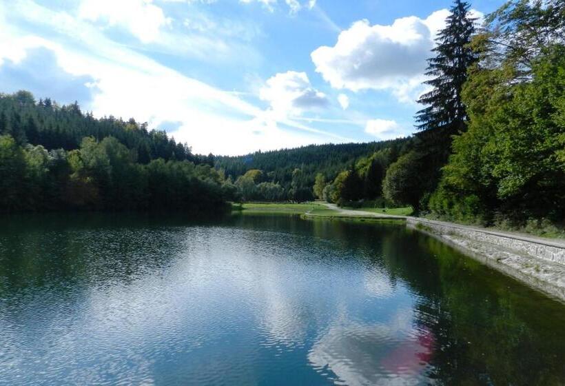 Четырехместный Номер Стандарт, Wellness Hotel Bozeňov