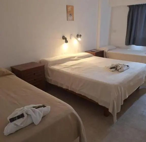 Basic Kolmen Hengen Huone, Plaza Room