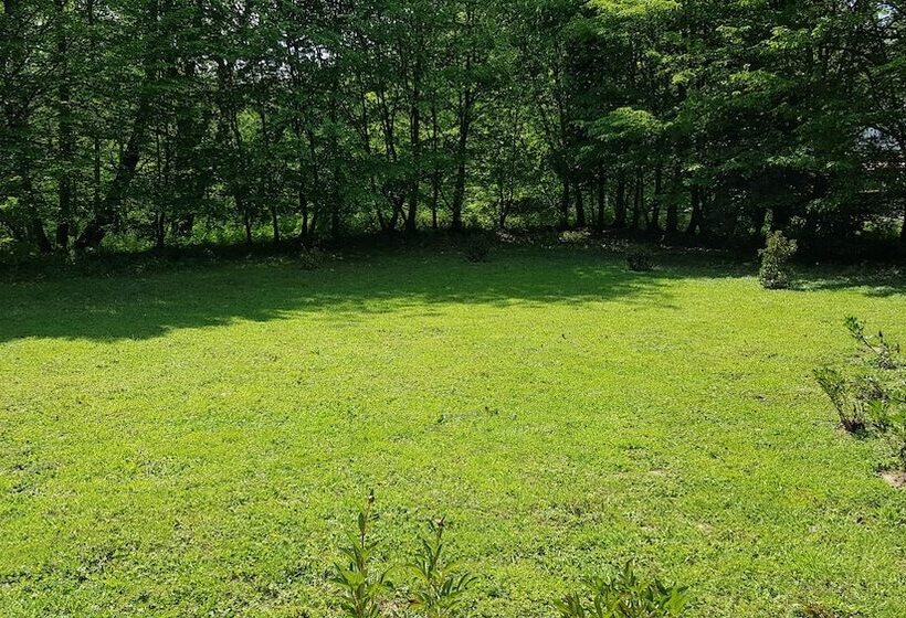 ガーデンビュースタンダードルーム, Schneider Hof