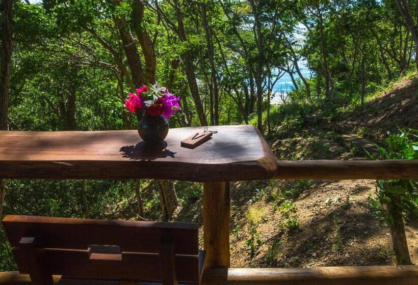 בקתה דלוקס, Verdad Nicaragua