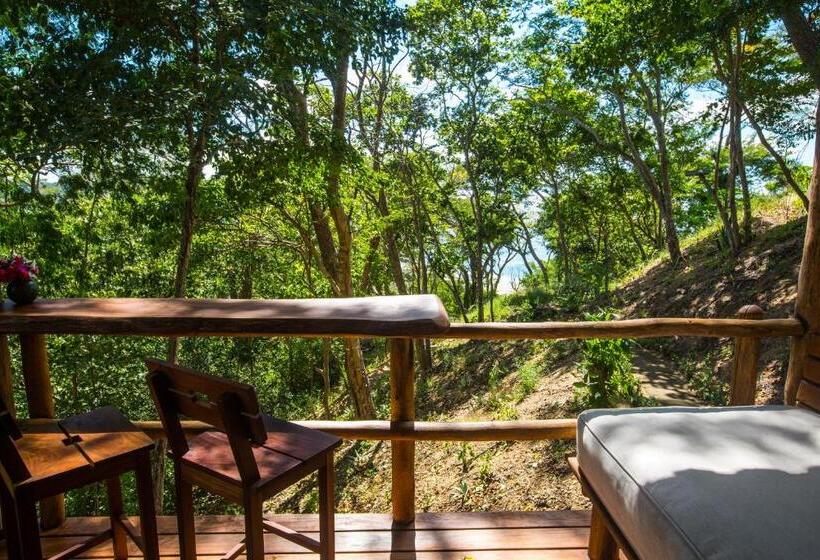 בקתה דלוקס, Verdad Nicaragua