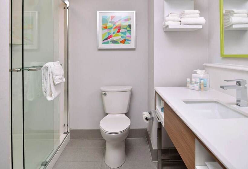 Номер Стандарт 2 Двуспальные Кровати, Hampton Inn Tampa Downtown Channel District